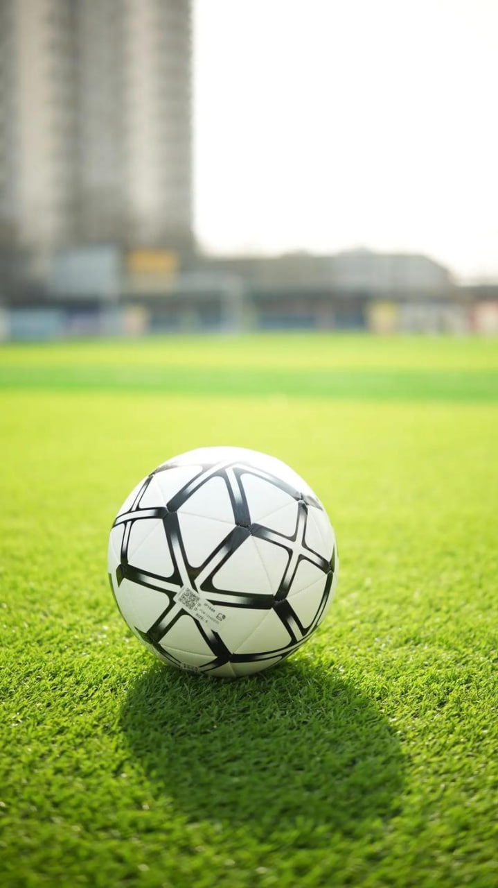 球探比分赛事数据分析图表展示